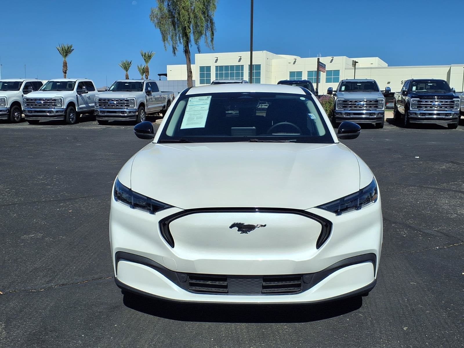 Used 2026 Ford Mustang Mach-E Premium AWD with VIN 3FMTK3SU3TMA00337 for sale in Chandler, AZ