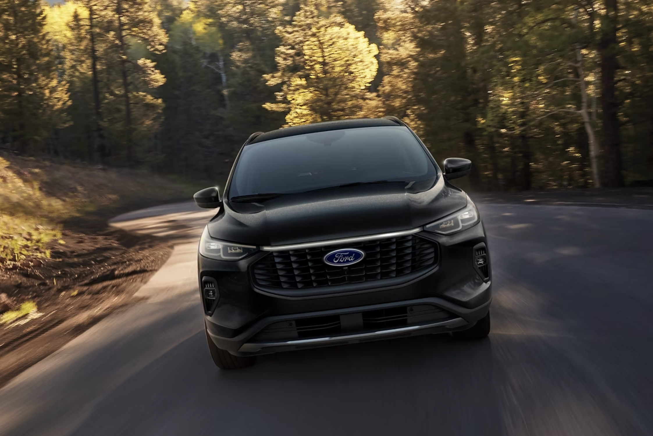 SUV Driving Through Forest