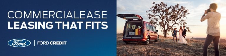 Bride and Groom Next to a Leased Van